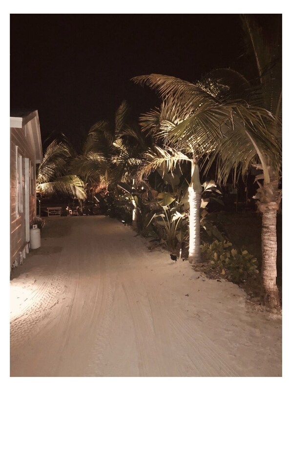 A nighttime view of a paved pathway flanked by palm trees and a building with illuminated windows.