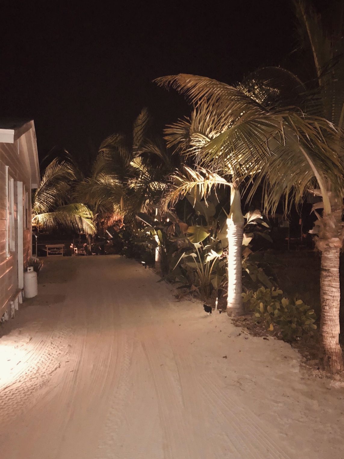 Une vue nocturne d’un chemin pavé bordé de palmiers et d’un bâtiment dont les fenêtres sont illuminées.
