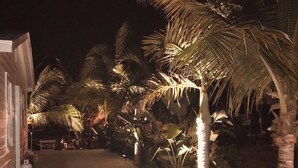 A nighttime view of a paved pathway flanked by palm trees and a building with illuminated windows. - NEW!! The “WATERSIDE” COTTAGE~With dockage (Bokeelia)