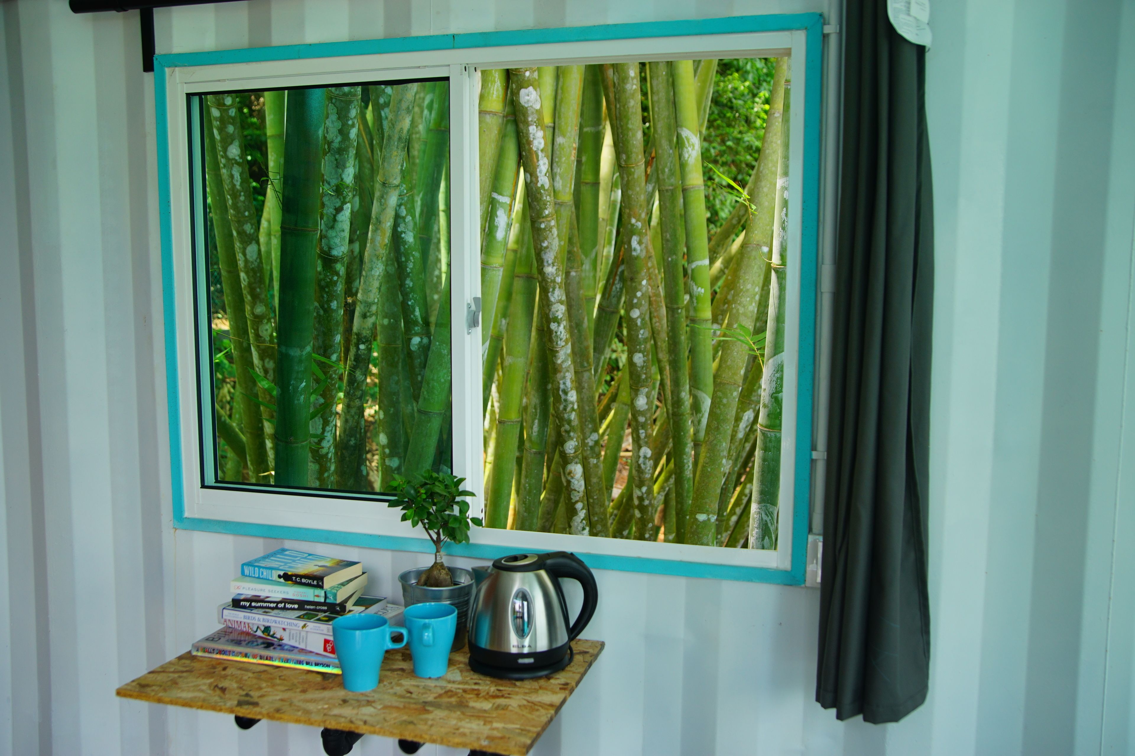 A window with a view of bamboo, a small table with books and a kettle, and a potted plant.