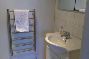 Hair dryer, towels, shampoo, toilet paper