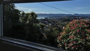 Vista pela janela de uma área residencial, com casas, árvores e uma cadeia montanhosa ao longe.
