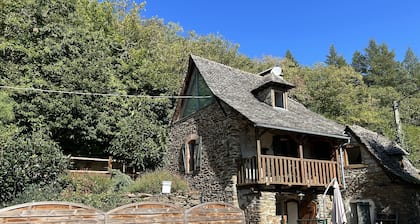 Cozy house in a green setting