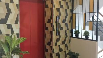 A modern interior with a geometric patterned wall, a red door, and a potted plant.