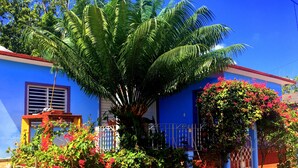 Ein blaues Haus mit einem großen Baum davor, einem Metallzaun und blühenden Pflanzen.