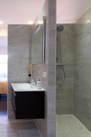 Shower, hair dryer, towels, toilet paper