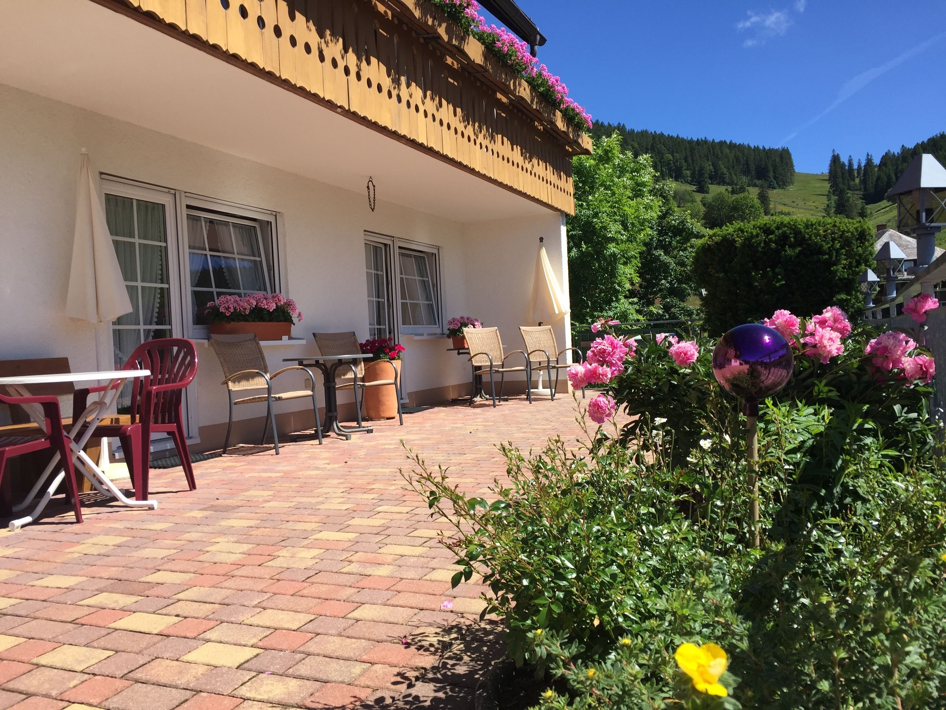 Teras/patio