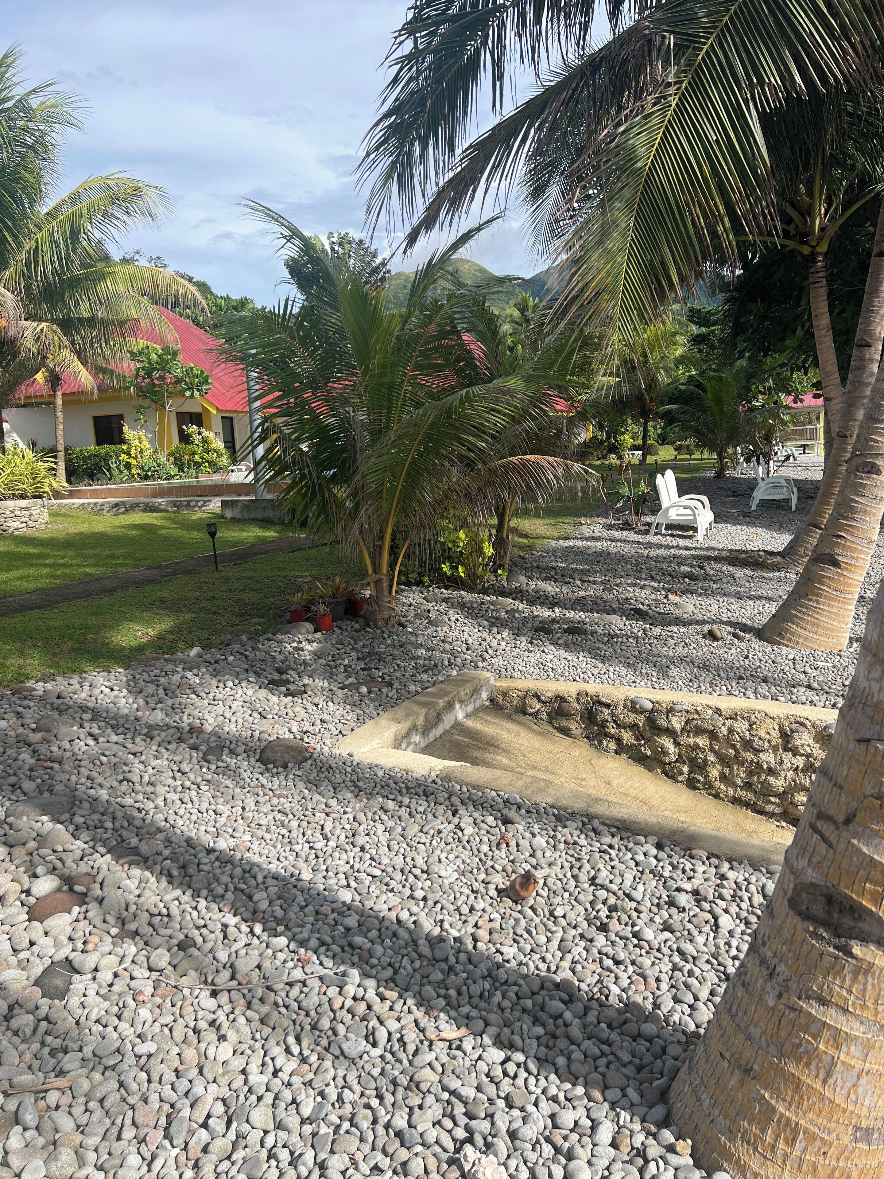 A tropical resort with a gravel pathway, palm trees, and a pool area.