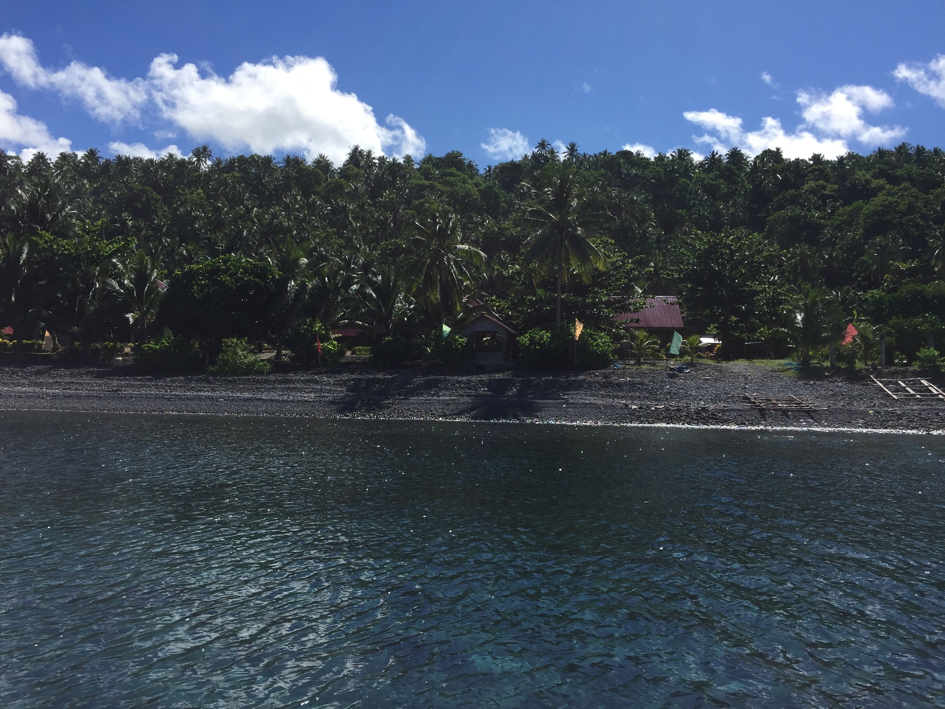A beach with clear water, a dense forest, and a small building.