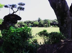 Parco della struttura