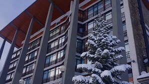 Un edificio de varios pisos con balcones y un árbol cubierto de nieve al frente.