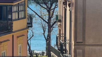 Vista des de l'allotjament