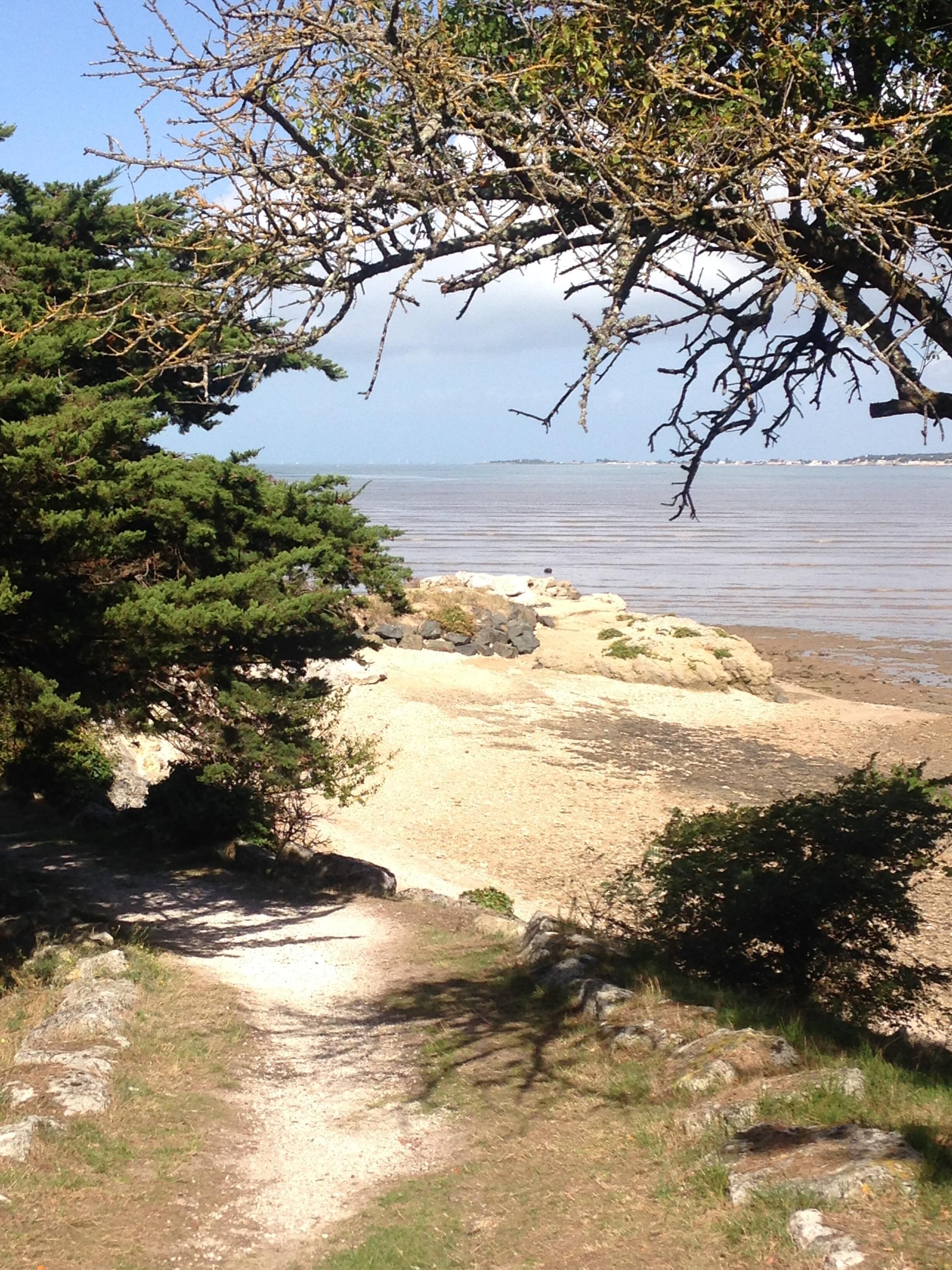 Paisatge costaner amb un camí de terra que condueix a una platja sorrenca, envoltat de vegetació densa i amb vista a un mar tranquil.