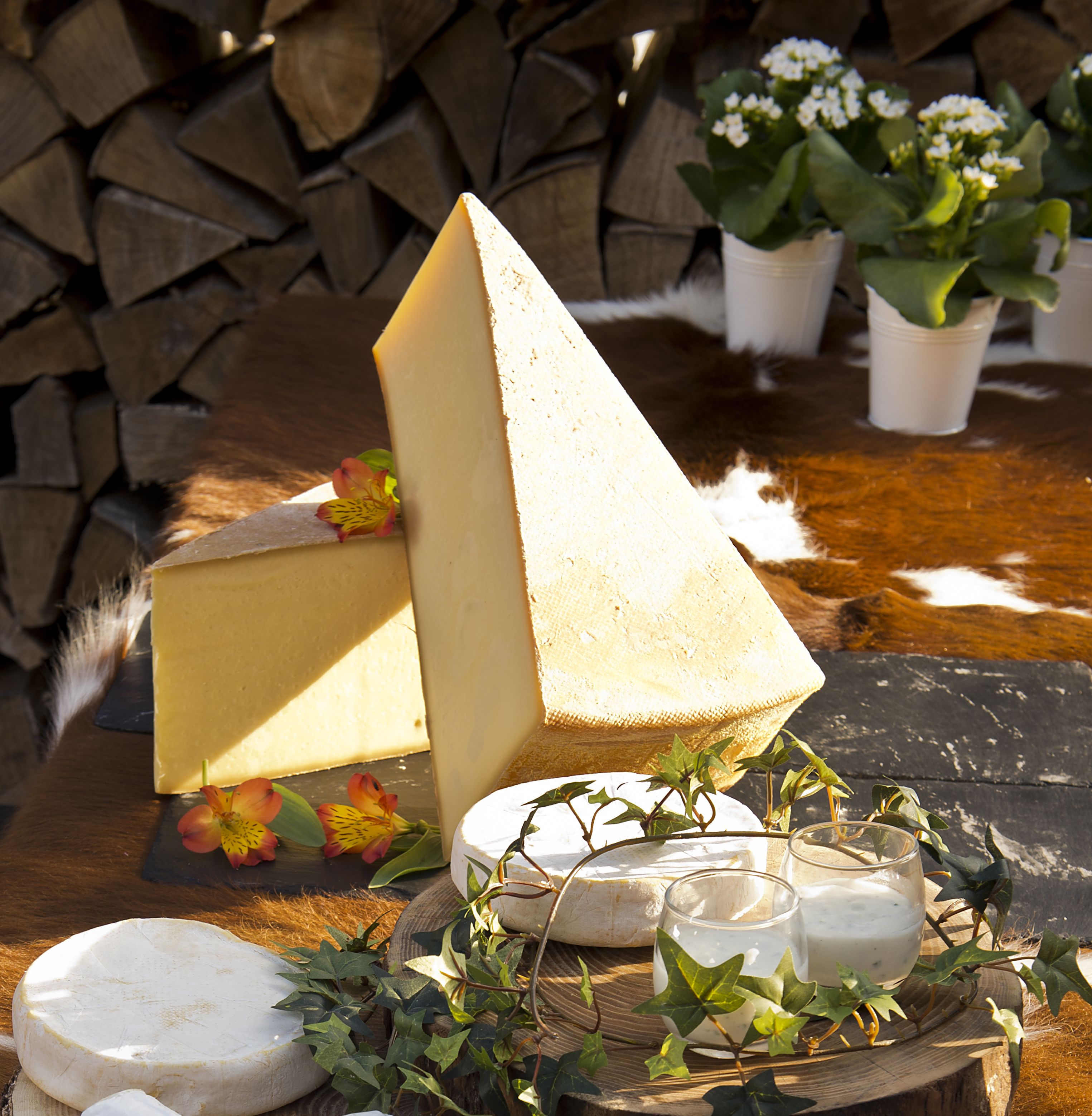 A cheese pyramid on a wooden table with cheese wheels, a glass of milk, and potted plants.