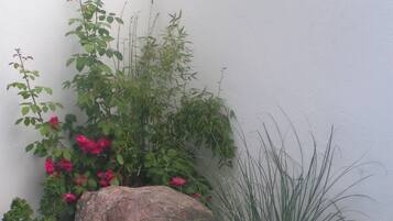 Junior-Suite, Nichtraucher, Gartenblick | Blick auf den Garten