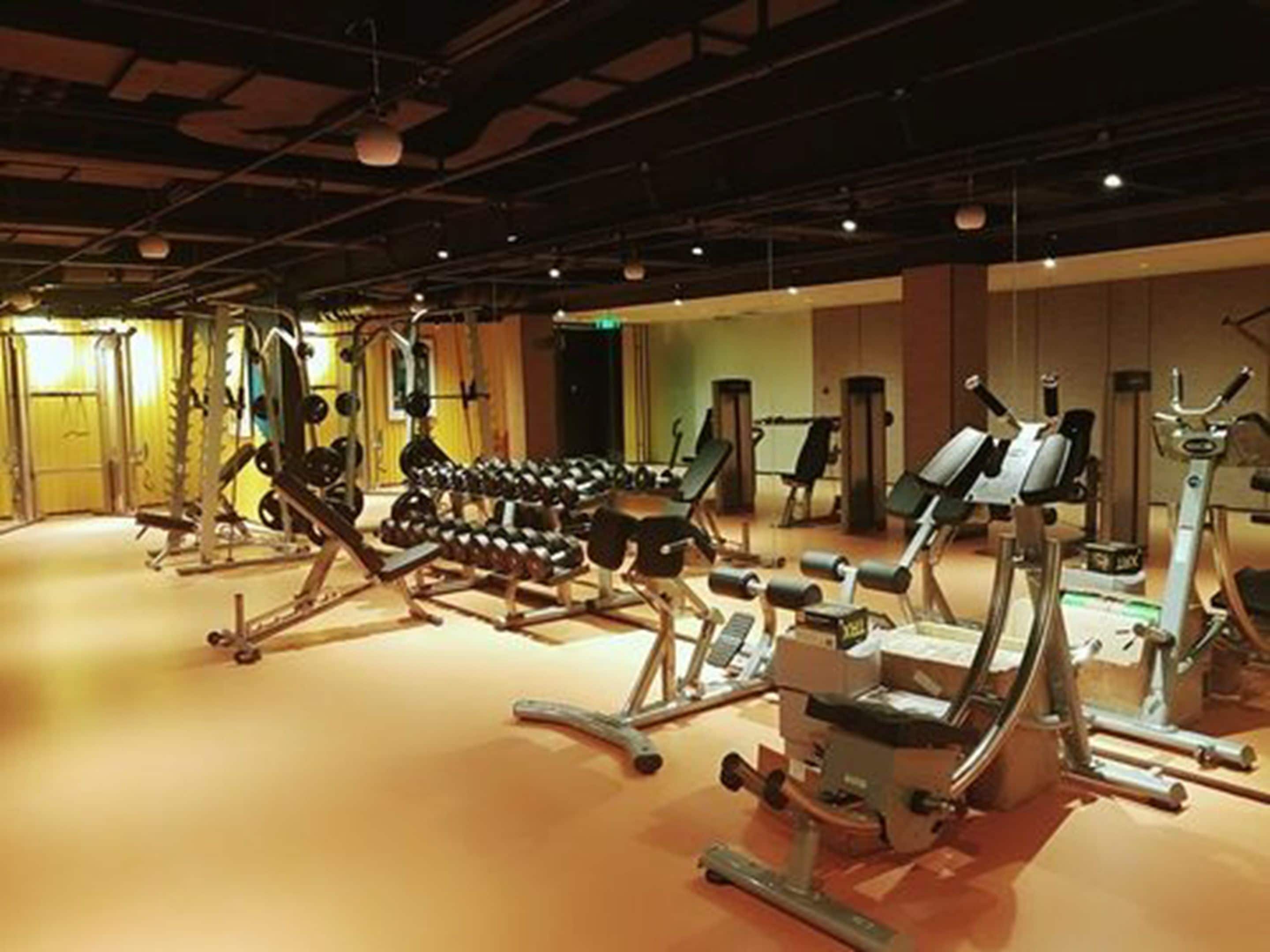 Un gimnasio con diverso equipo de ejercicios, incluyendo mancuernas, máquinas de pesas y máquinas de cardio.