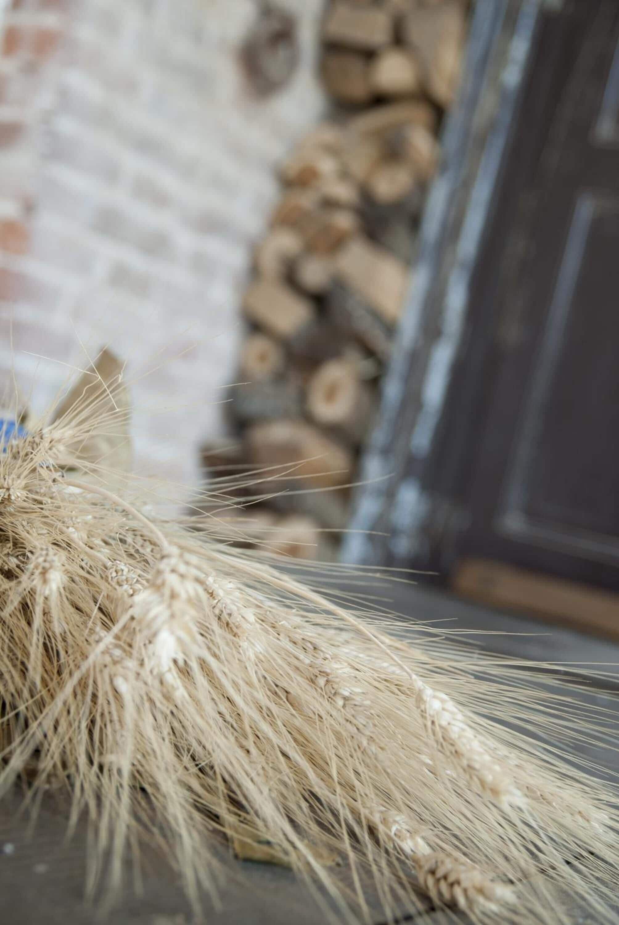 A close-up of a cat's fur with a blurred background including a brick wall and a stack of firewood.