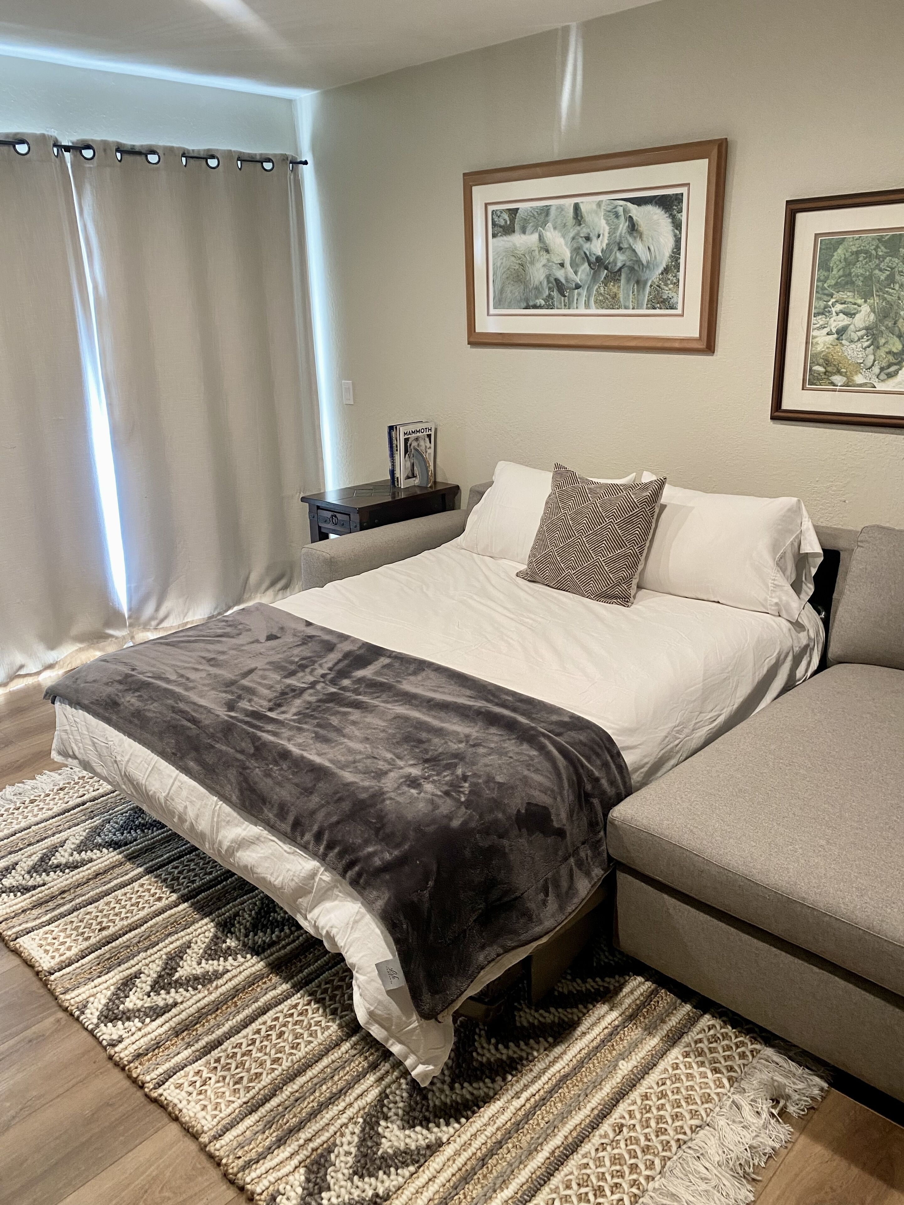 A bedroom with a bed, a sofa, a rug, and two framed pictures on the wall.