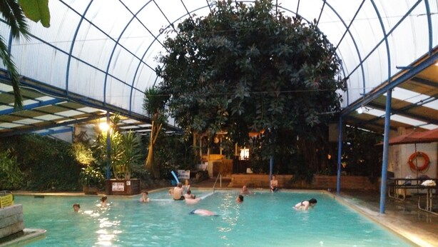 Une piscine intérieure où l’on peut nager et s’amuser, entourée d’un grand arbre et surmontée d’une structure en verre formant plafond.