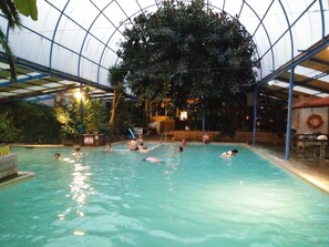 Una piscina interior con gente nadando y jugando, rodeada por un gran árbol y una estructura de techo de cristal.