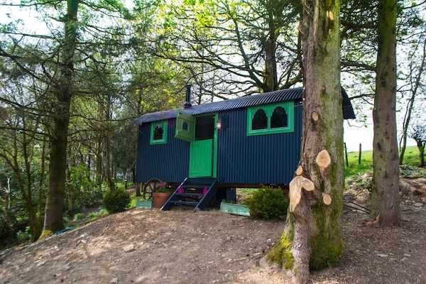Shanti Hut | Vue de la chambre