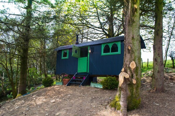 Shanti Hut | Vue de la chambre