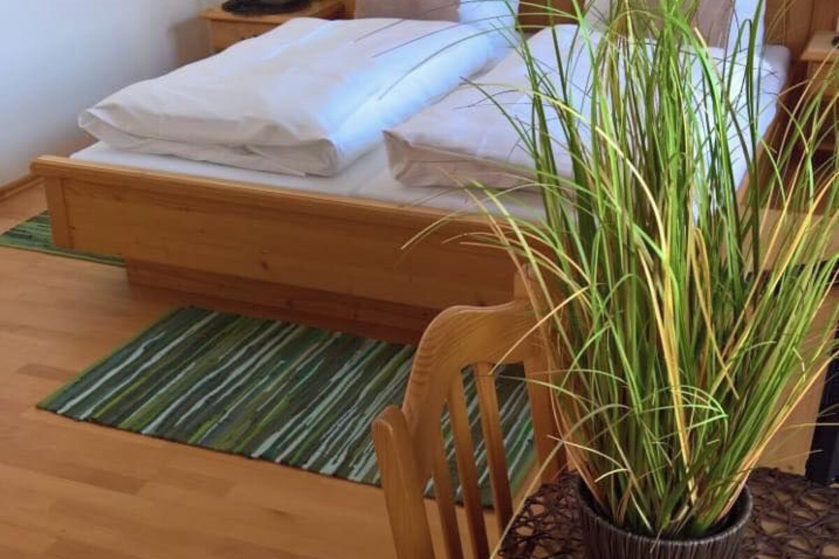 Una habitación con cama, una mesa de madera con planta en maceta, una silla y un tapete verde a rayas.