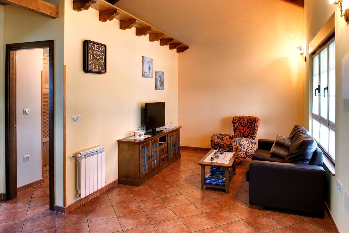 Un salon avec un plafond en bois, un téléviseur posé sur un meuble en bois, un fauteuil à motifs et un canapé.
