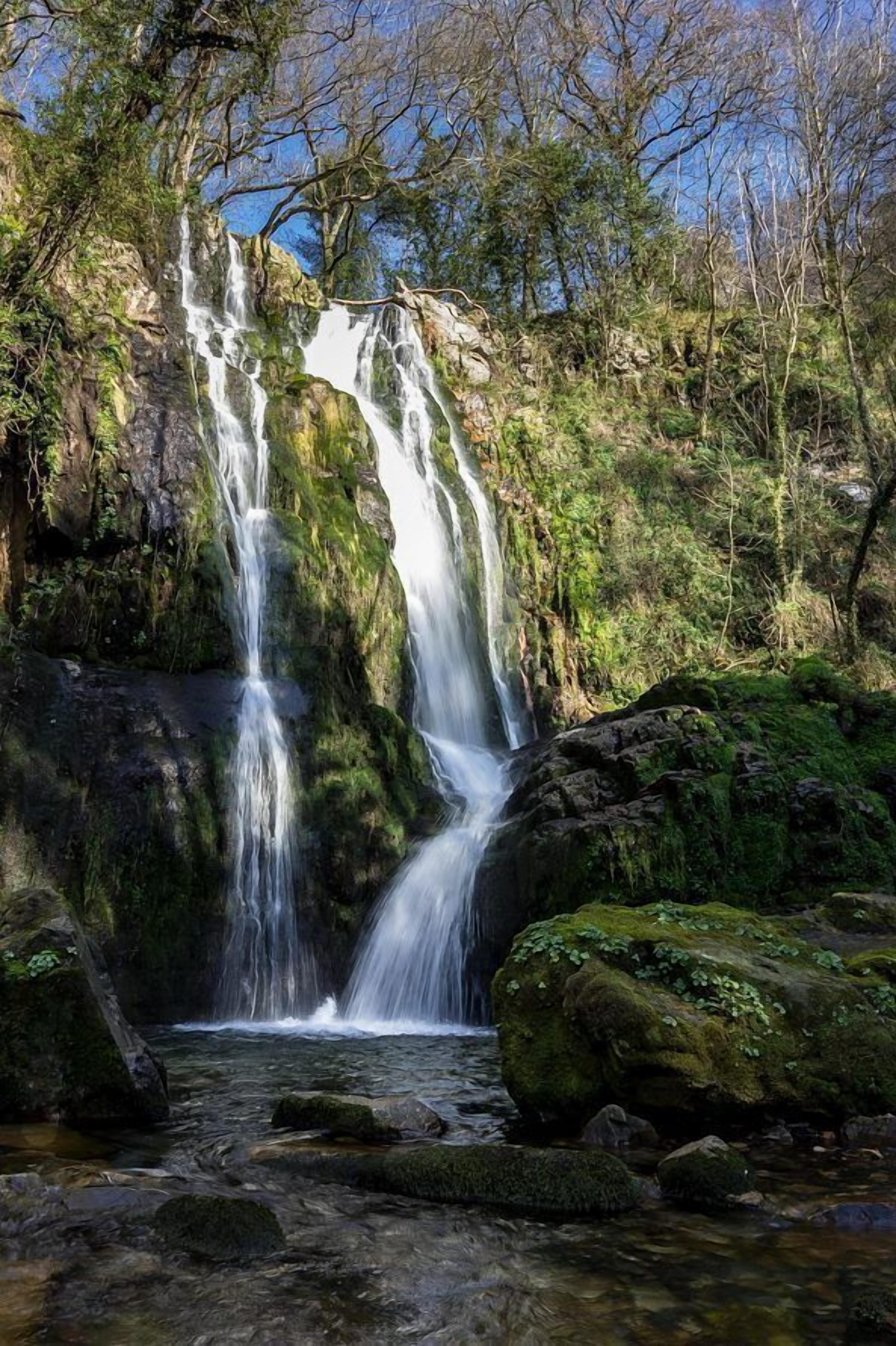 Una cascada fluye sobre rocas cubiertas de musgo en una zona boscosa.