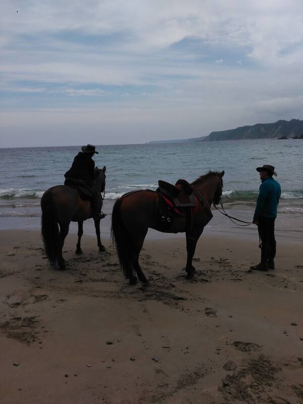 On the beach, beach shuttle, 2 beach bars