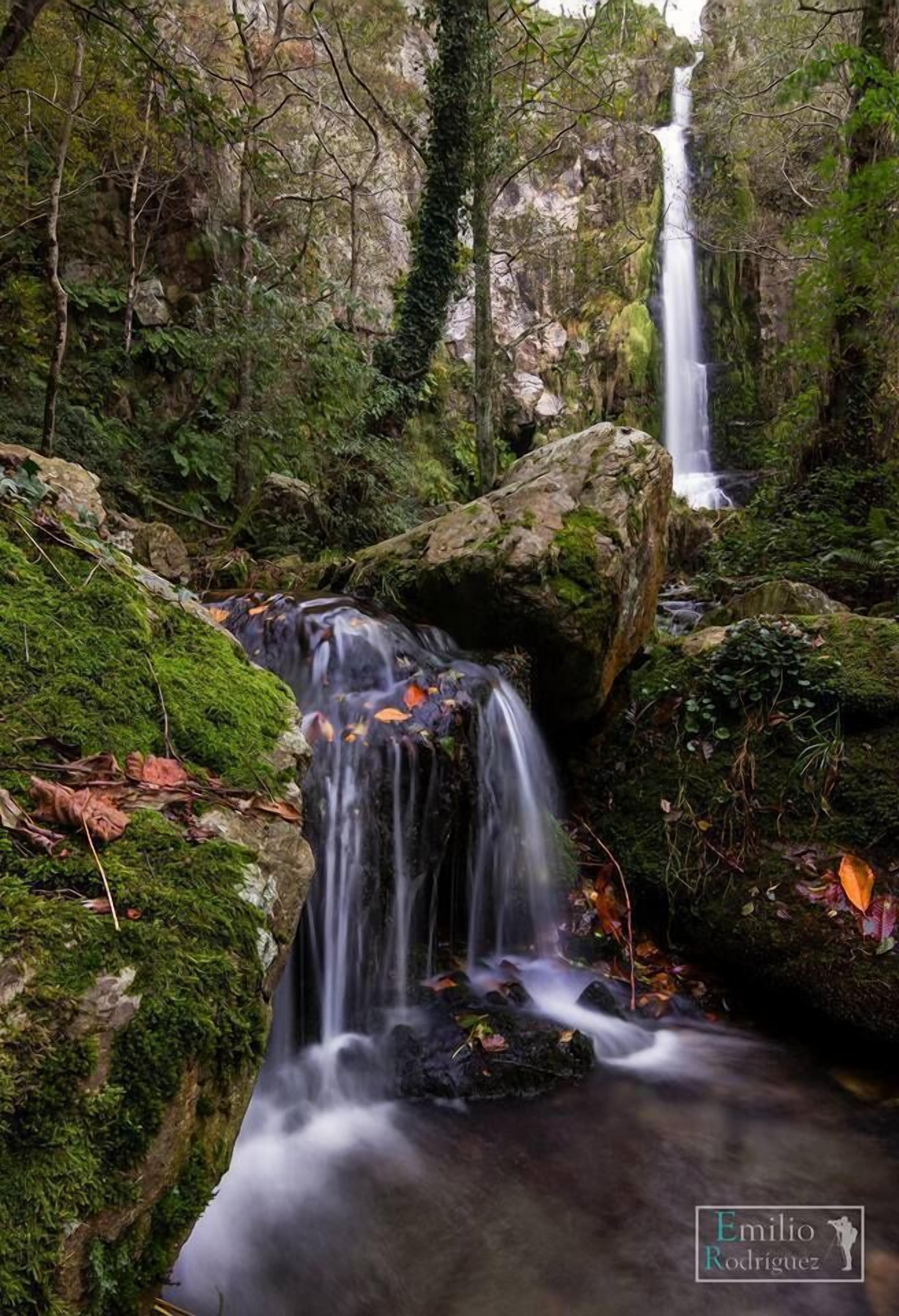 A waterfall in a forested area with moss-covered rocks and trees.