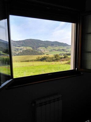 Vista dalla camera