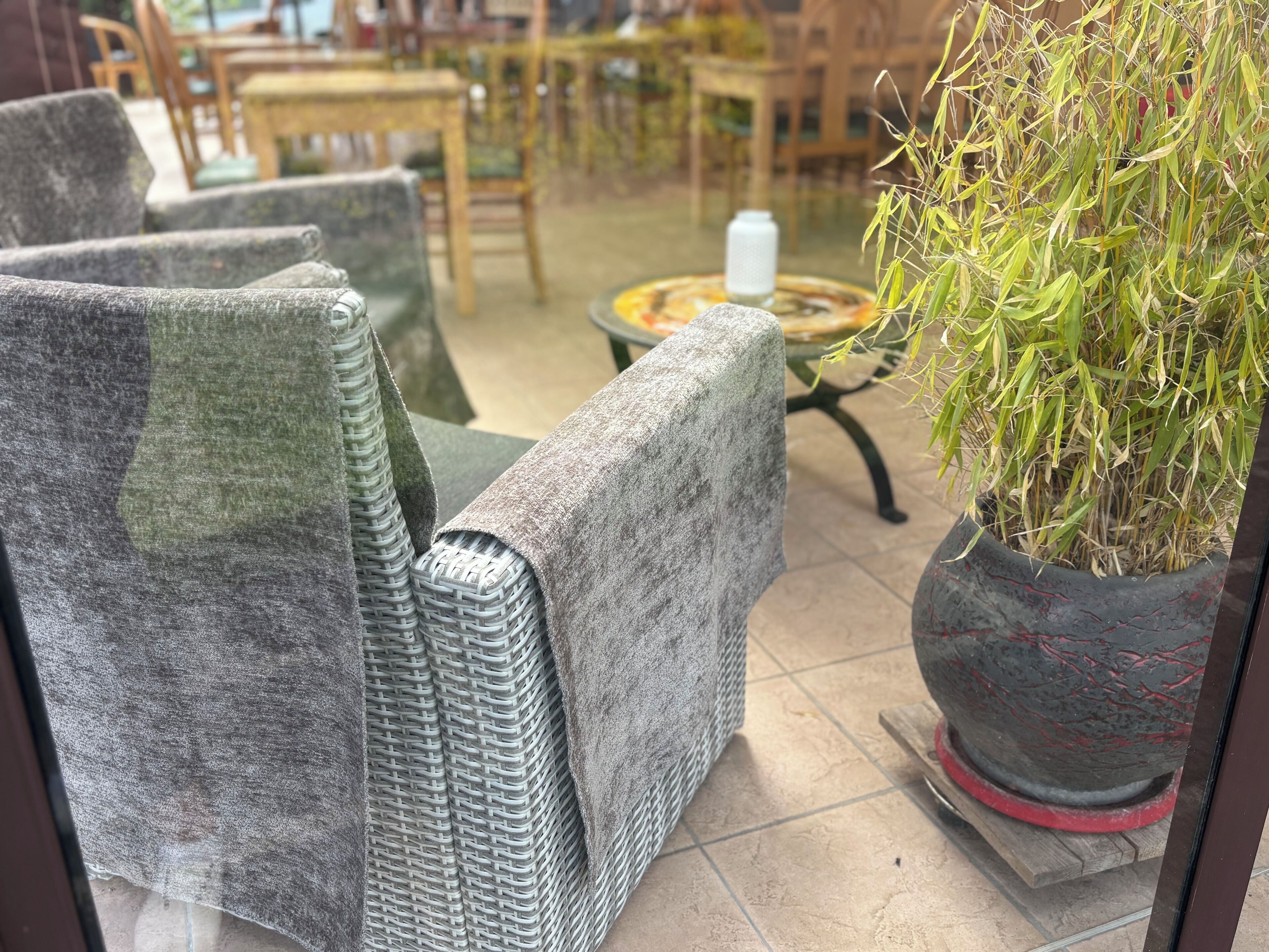 Un espacio de descanso con sillas de mimbre y una planta en maceta.