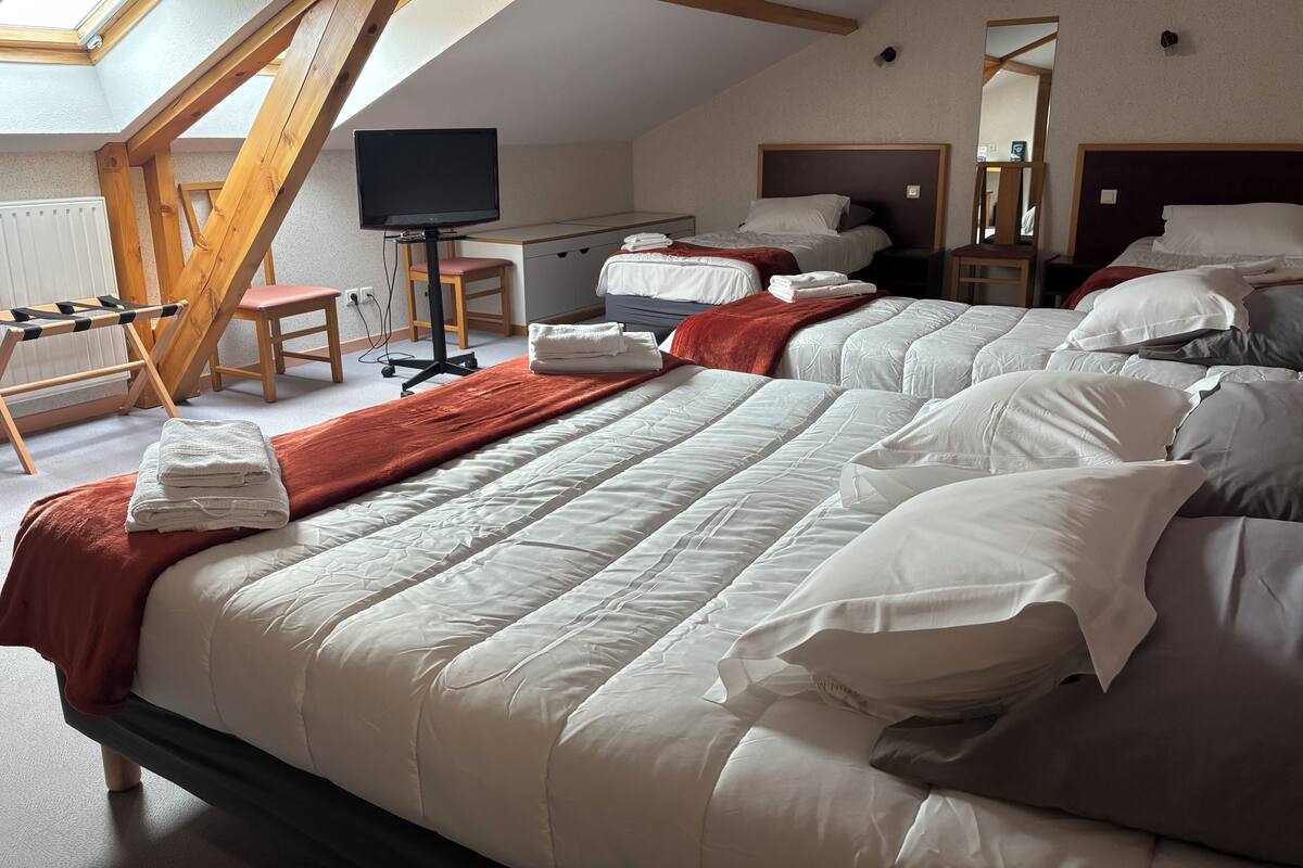 A hotel room with a large bed, a desk with a chair, a television, and a skylight.