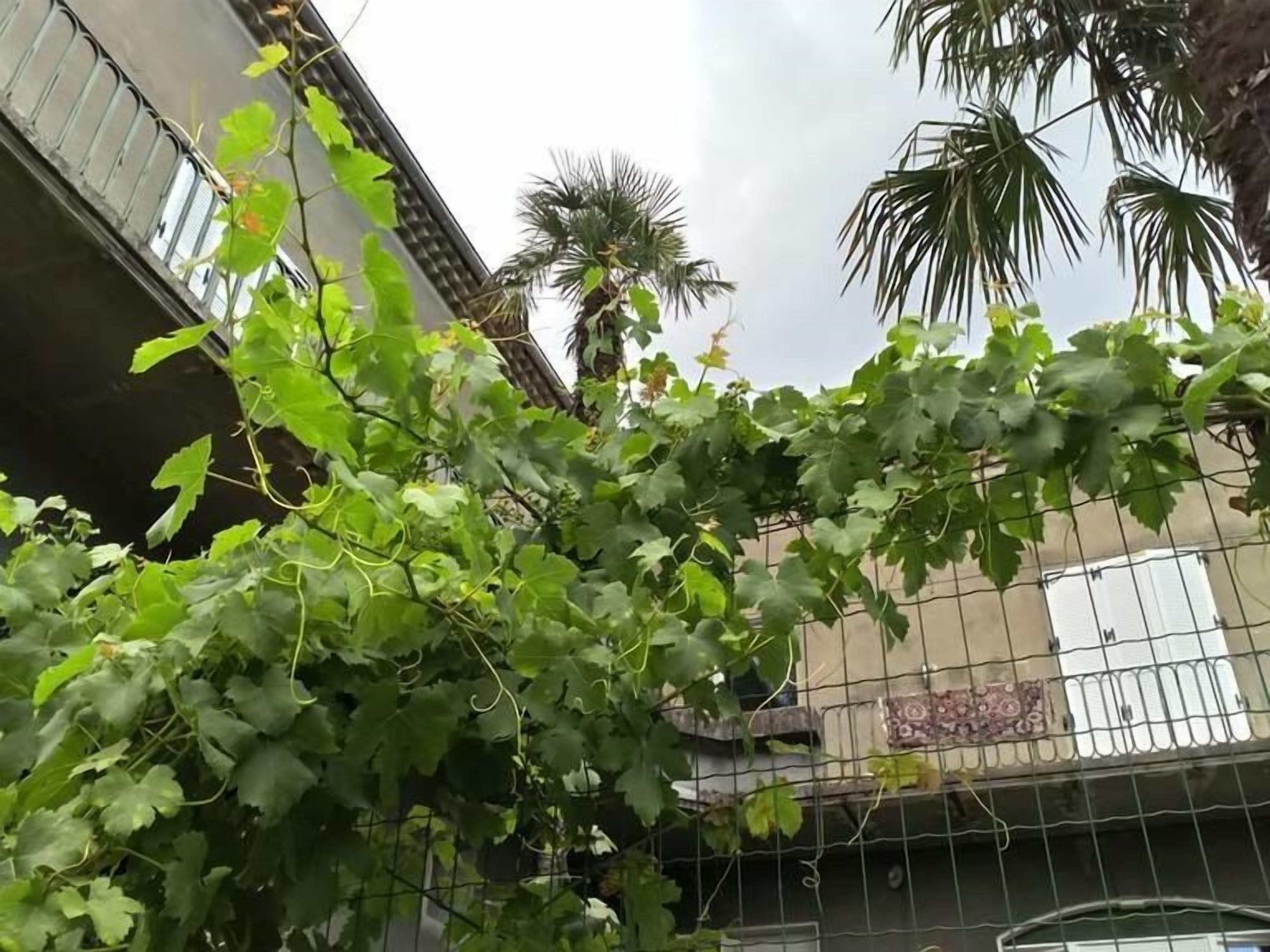A view of a residential area with a metal fence, a building with a tiled roof, and a palm tree in the background.