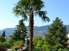Vista de un paisaje montañoso con una palmera en primer plano y una estatua al fondo.