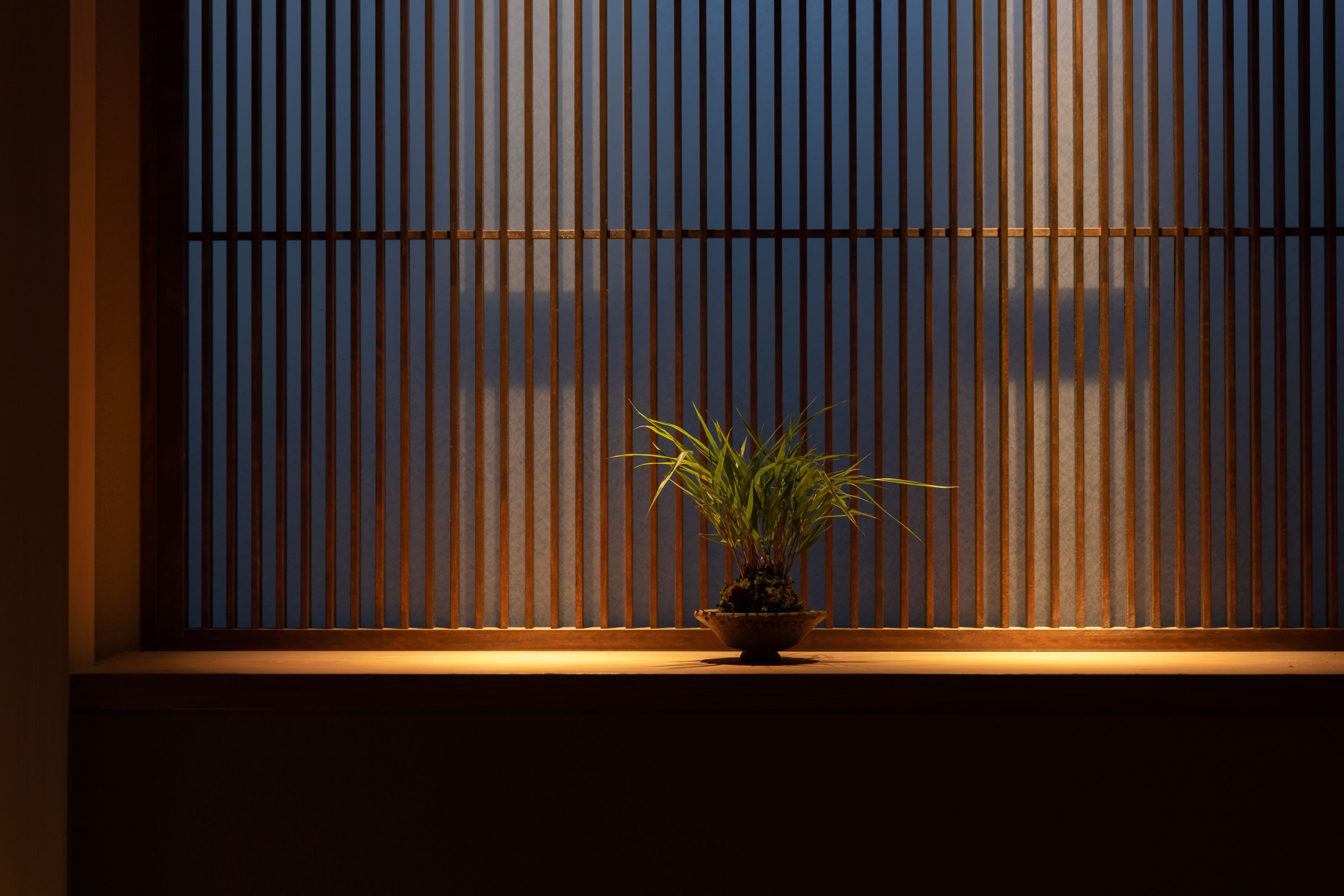 A potted plant on a windowsill with vertical blinds.