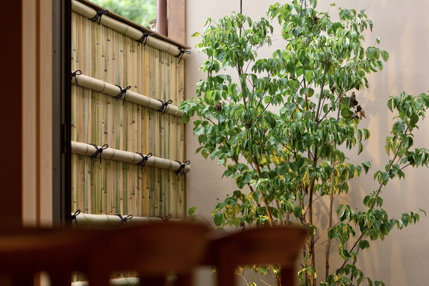 部屋からの景観