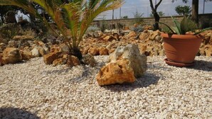Un jardín rocoso con una planta de palma y una maceta de terracota.
