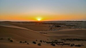 A desert landscape with sand dunes and sparse vegetation during sunset. - Stay at Swakop Guesthouse (Swakopmund)