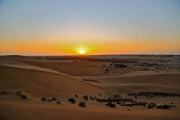 شاطئ