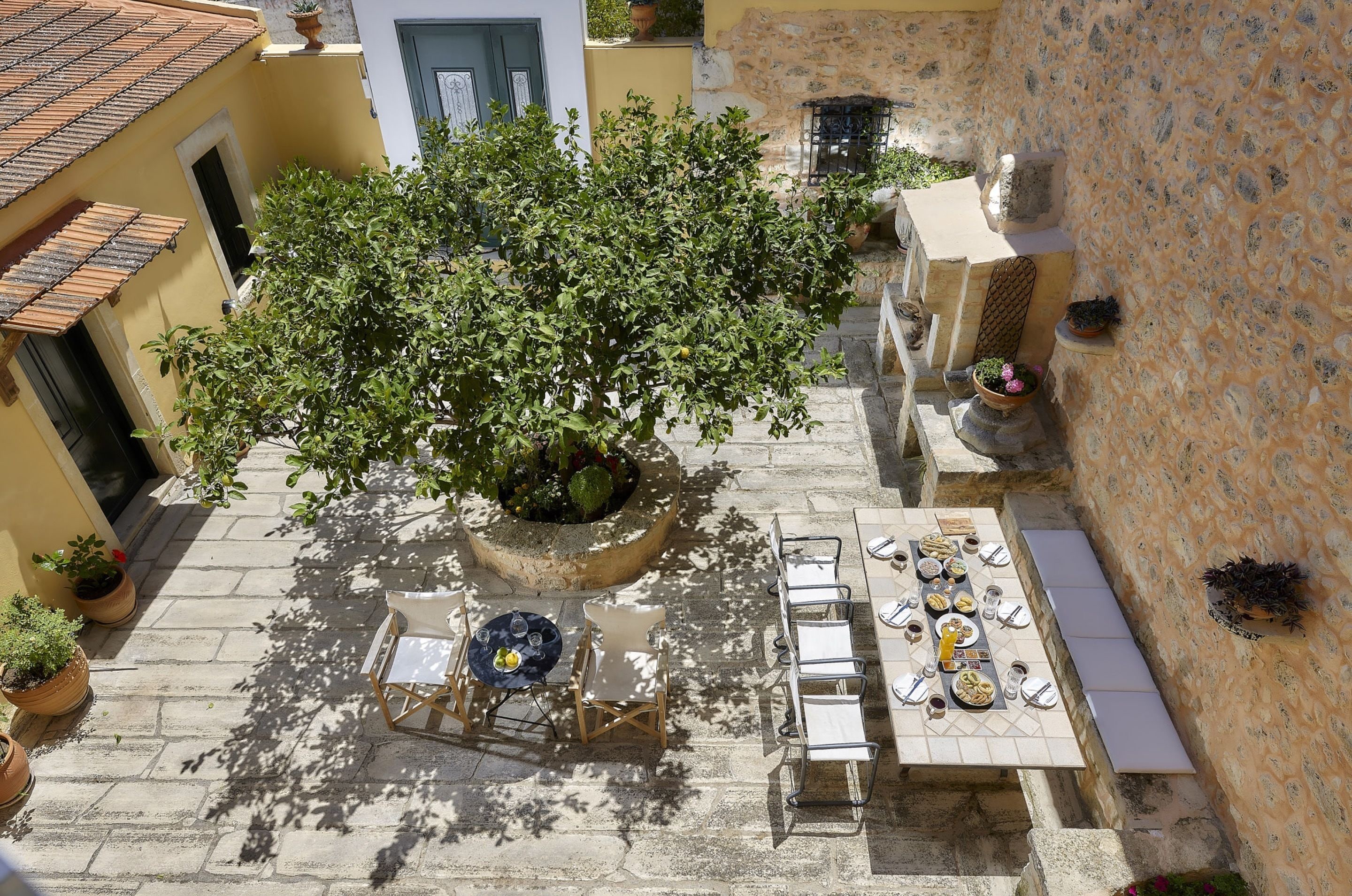 A courtyard with a dining table set for a meal, surrounded by potted plants and a large tree.