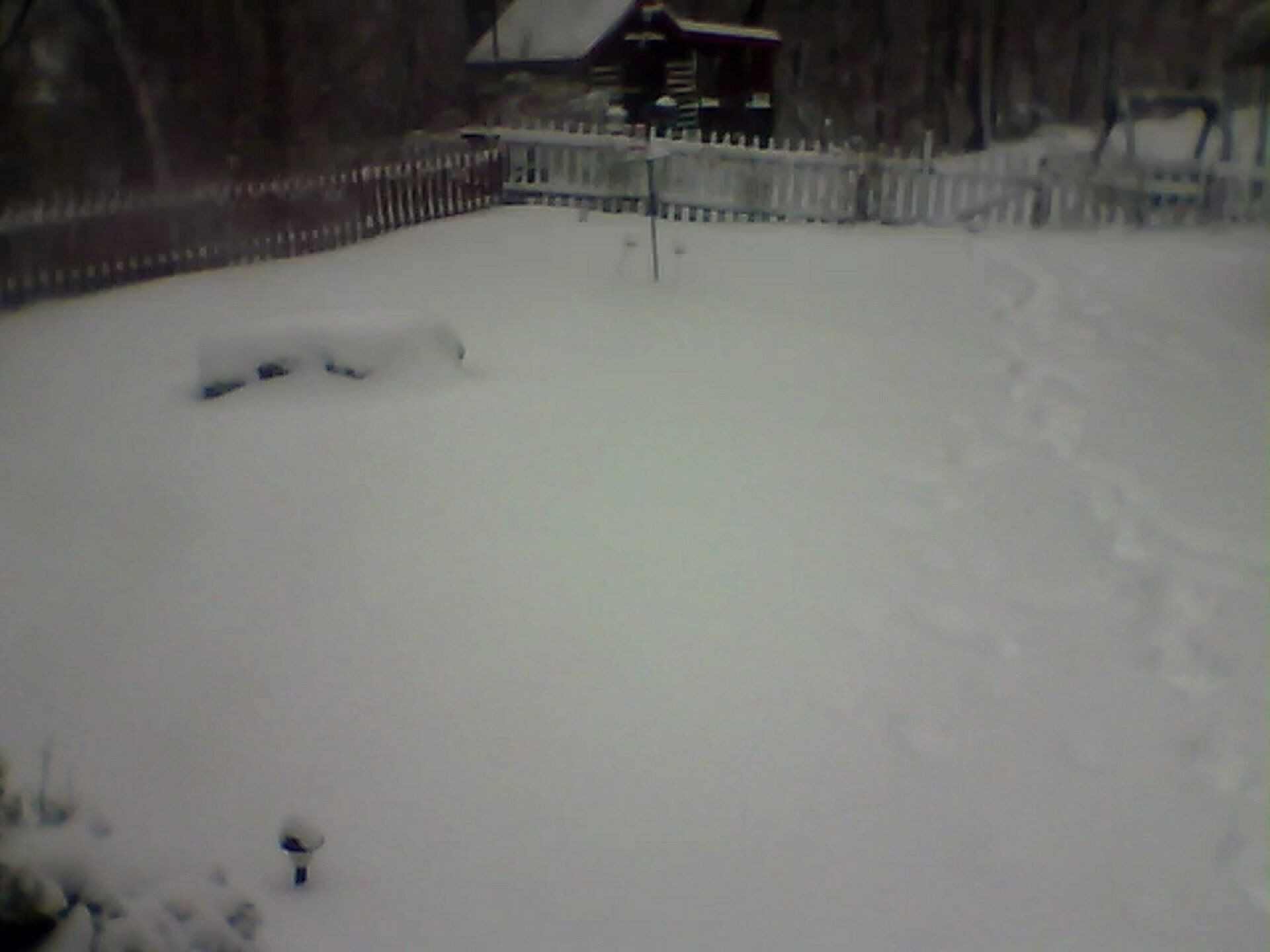 Snow at the cabin January 22nd 2016