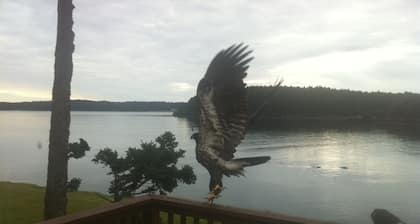 Kodiak Awesome View Vacation Rentals: The Captains Quarters