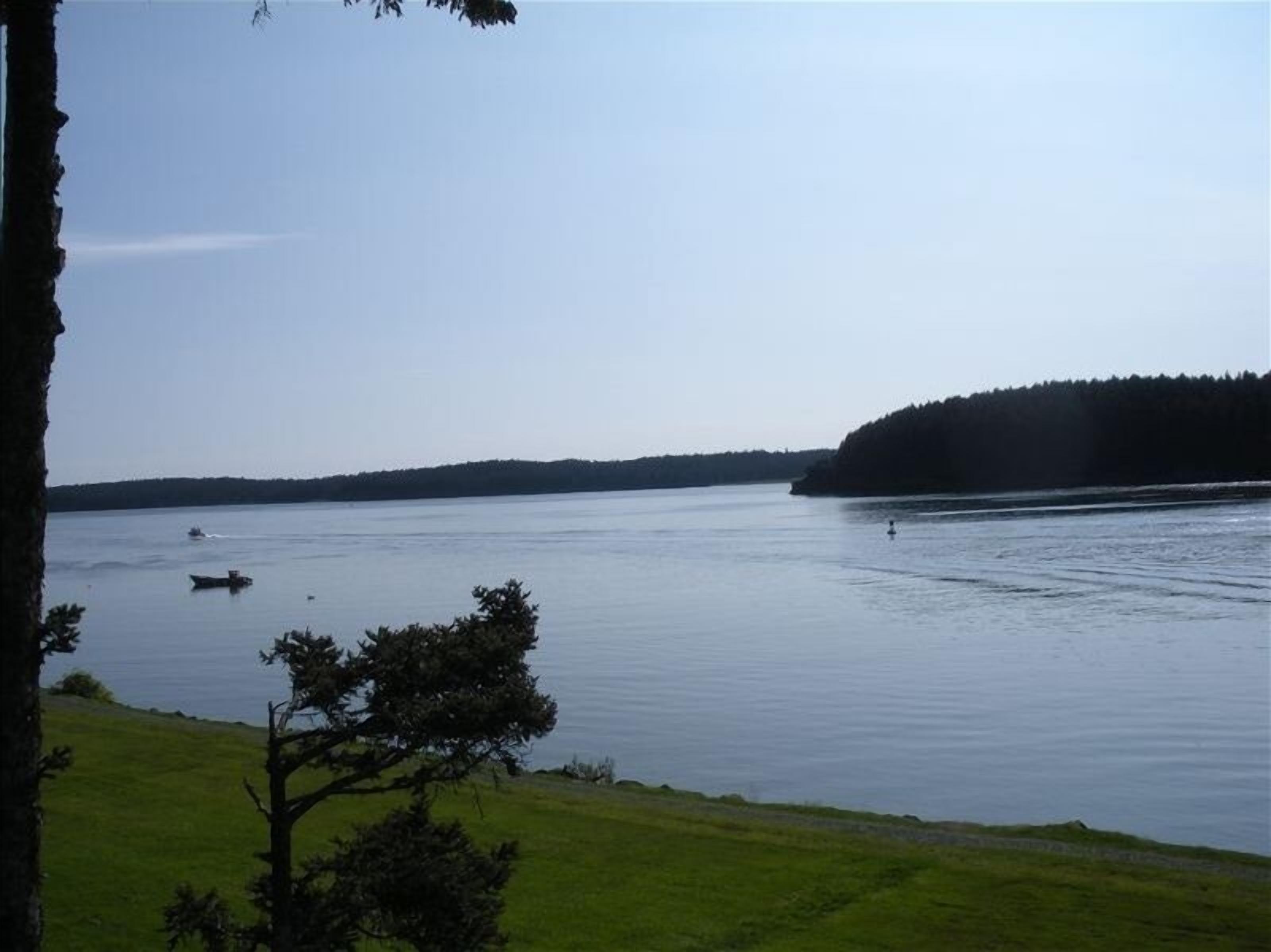 Um lago tranquilo com um barco à distância, rodeado por áreas gramadas e uma colina arborizada.