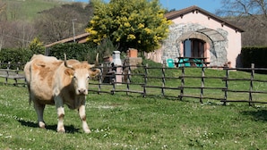 Property grounds - Agriturismo Il Castoro (Rome)