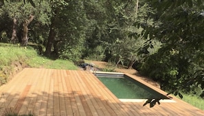 Outdoor pool - Small farmhouse in olive grove with swimming pool (Coaraze)