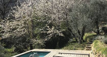 Small farmhouse in olive grove with swimming pool