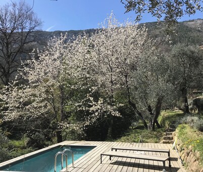 Small farmhouse in olive grove with swimming pool