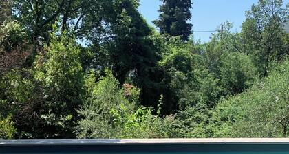 Petit mas dans oliveraie avec piscine